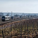 Vorfrühling am Roten Hang