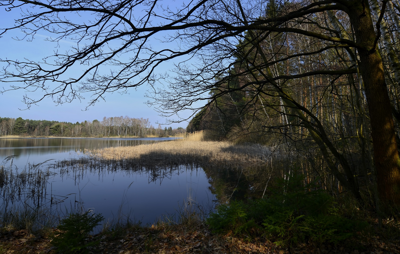 Vorfrühling am See