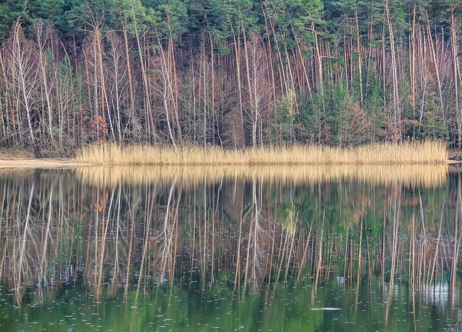 Vorfrühling am See