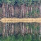 Vorfrühling am See