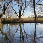 Vorfrühling am Teich