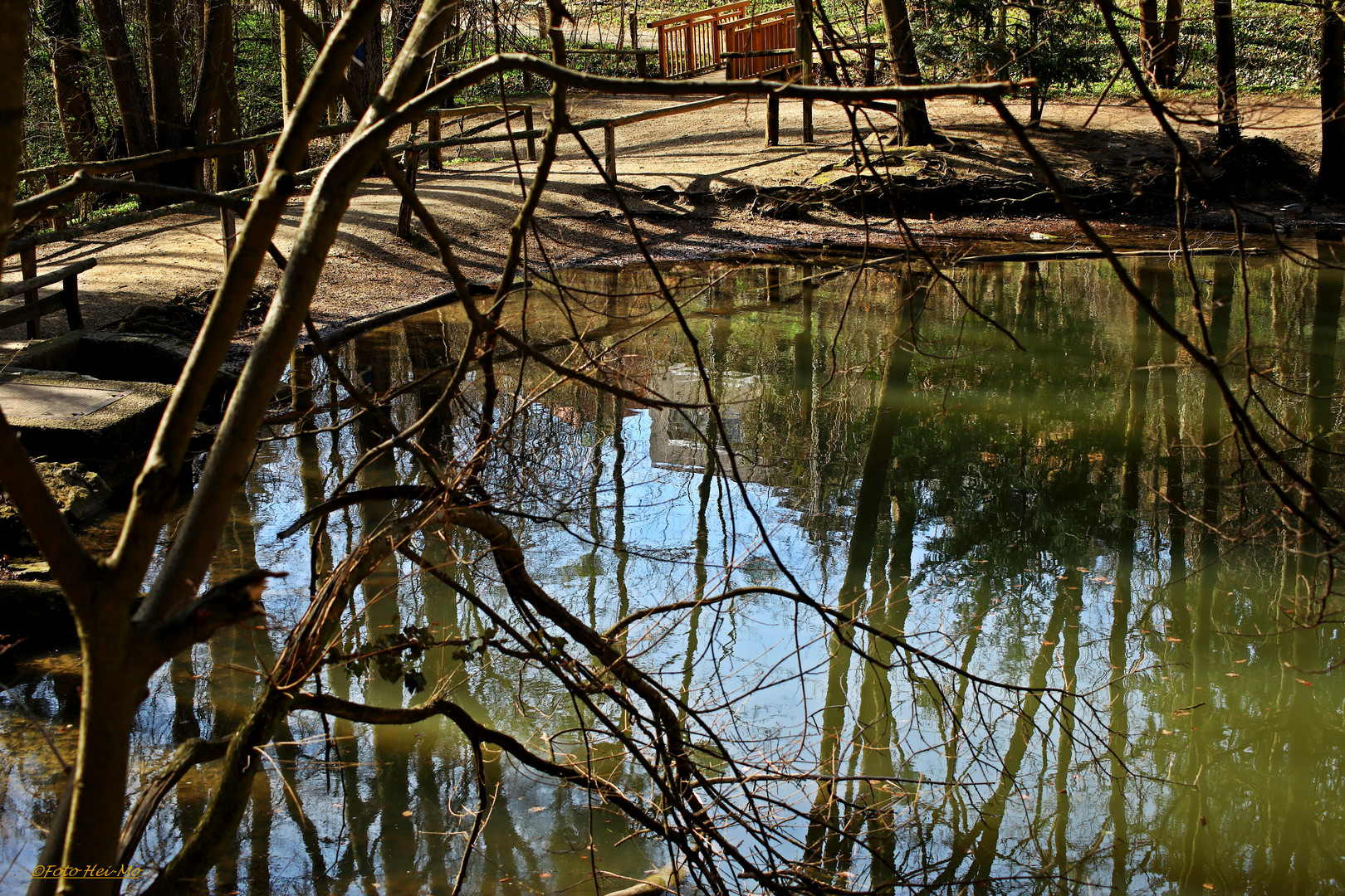 Vorfrühling am Teich