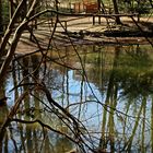 Vorfrühling am Teich