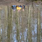 Vorfrühling am Wasser