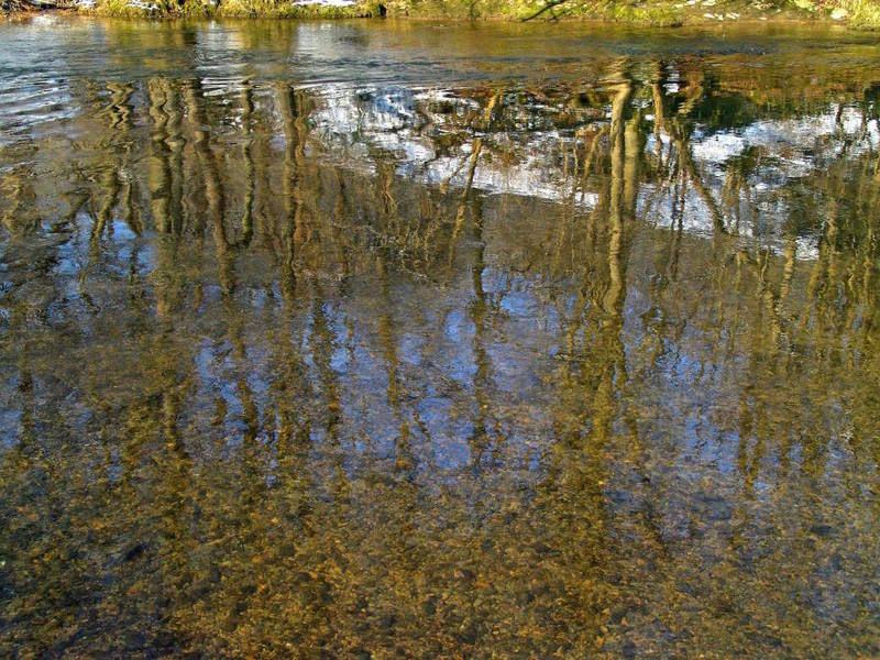 Vorfrühling an der Agger (3) bei Overath