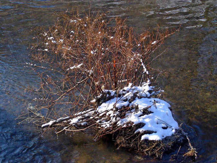 Vorfrühling an der Agger (4) bei Overath