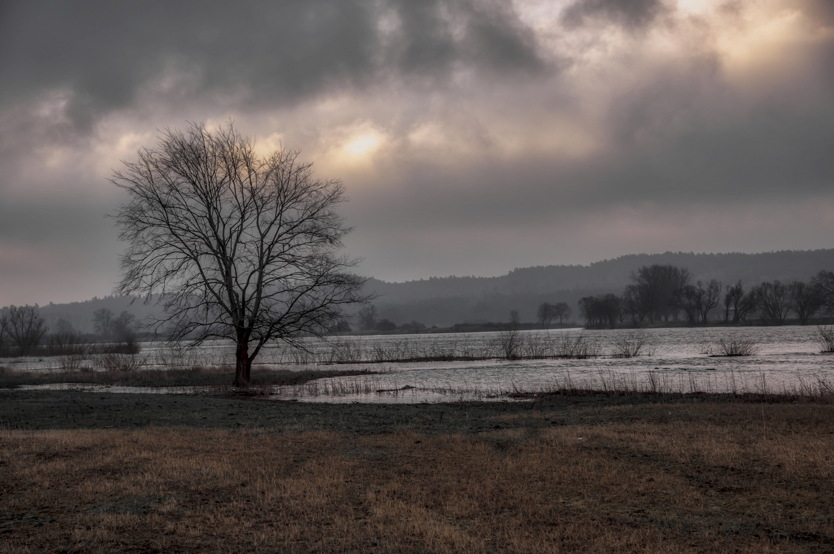 Vorfrühling an der Elbe