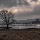 Vorfrühling an der Elbe