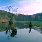 Vorfrühling an der Saale