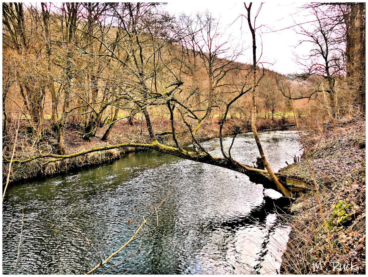 Vorfrühling an der Tauber .