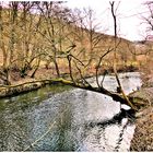 Vorfrühling an der Tauber .