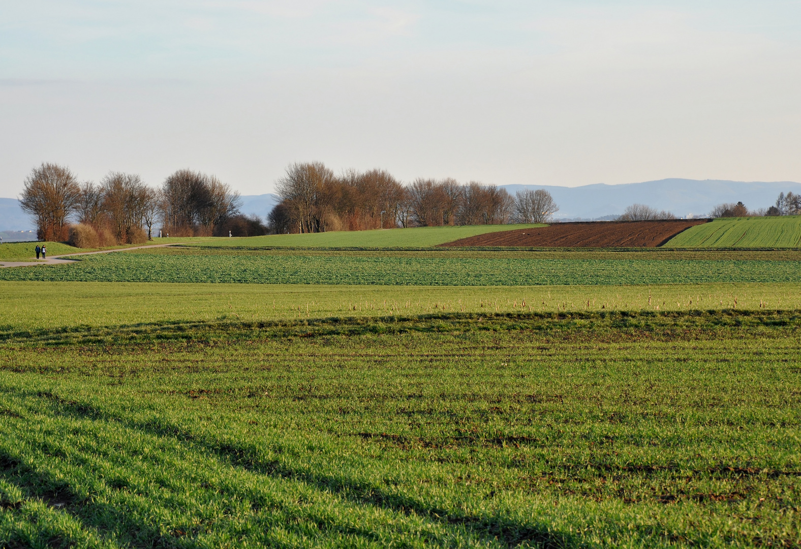 Vorfrühling auf den Fildern