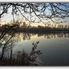 Vorfrühling auf der Bislicher Insel