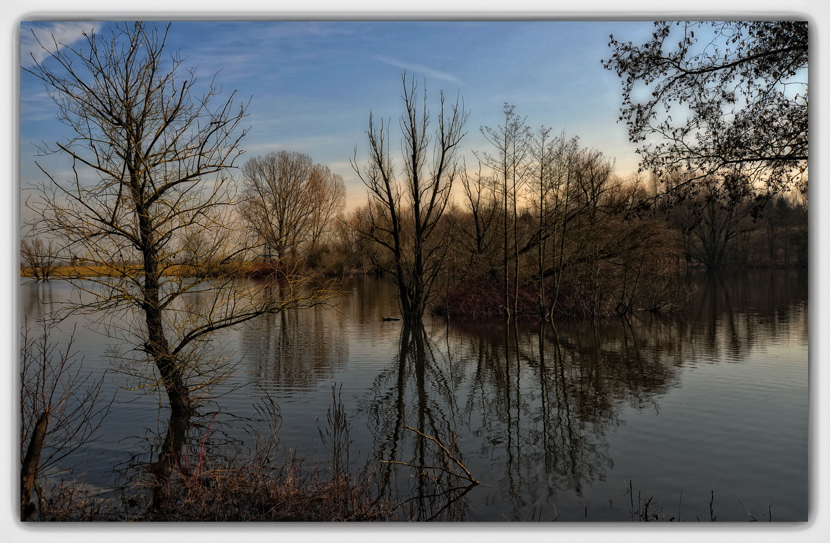 Vorfrühling auf der Bislicher Insel II