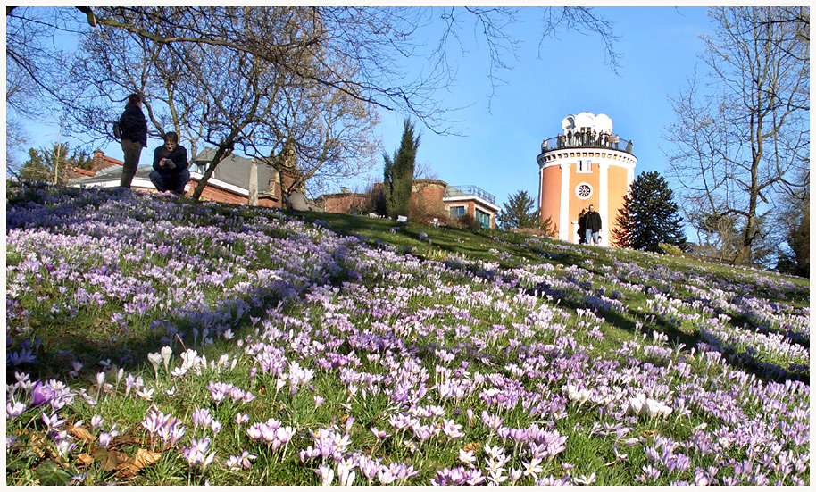 Vorfrühling auf der Hardt in Wuppertal