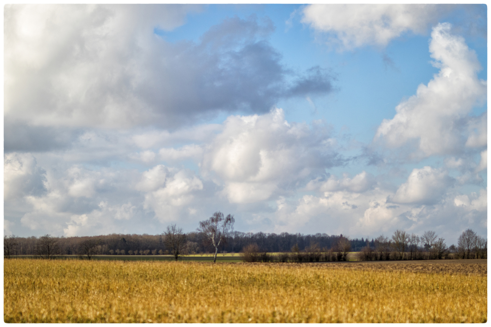 Vorfrühling auf der Hohenloher Ebene