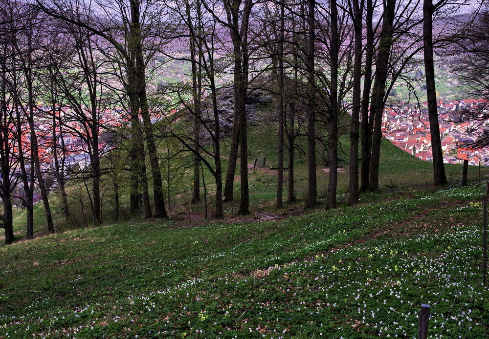 Vorfrühling auf der Schwäbischen Alb