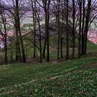 Vorfrühling auf der Schwäbischen Alb