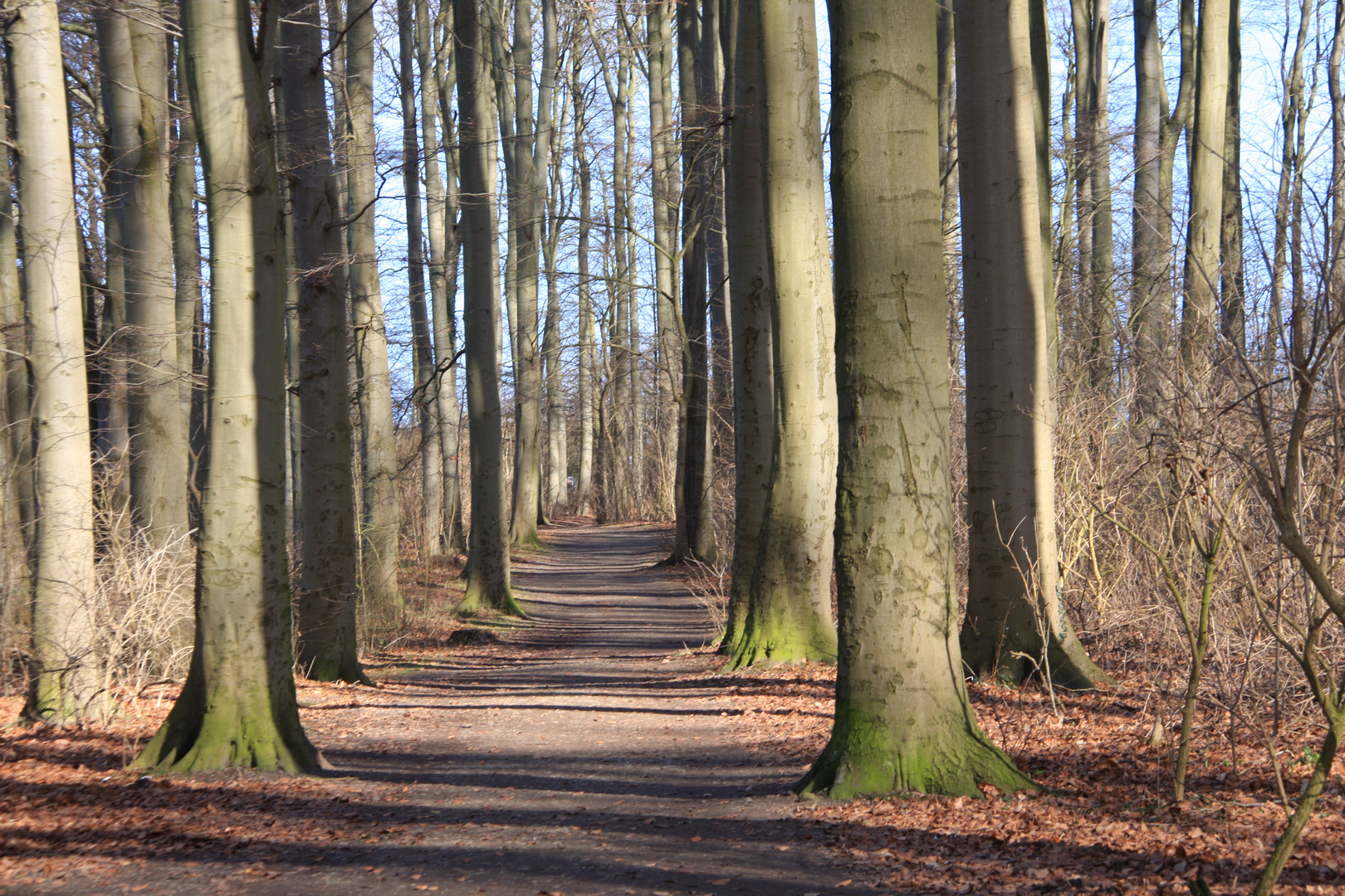 vorfrühling