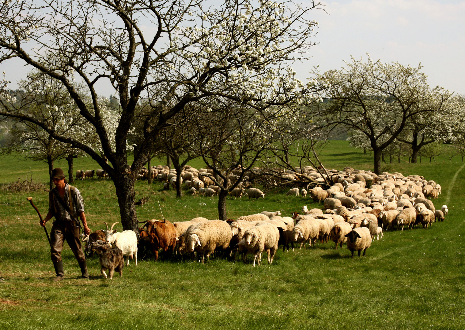 Vorfrühling