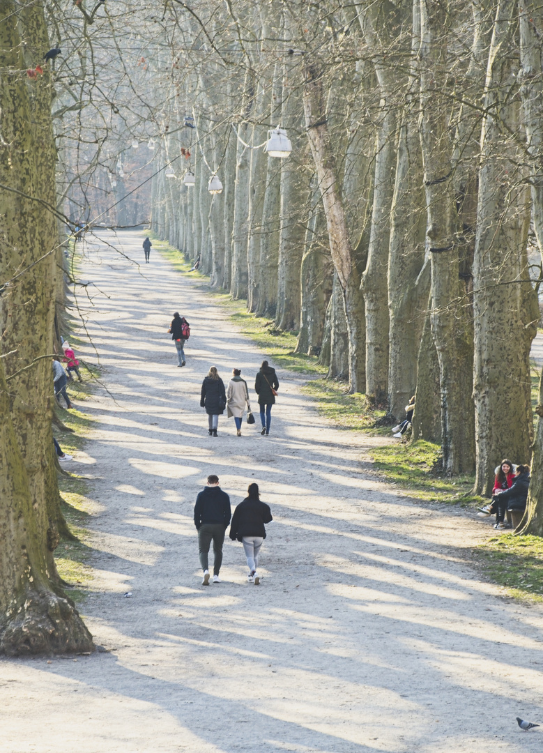 Vorfrühling