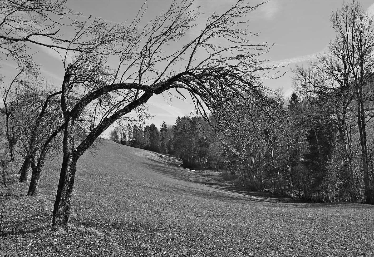 vorfrühling