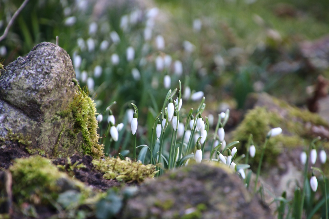 Vorfrühling.....