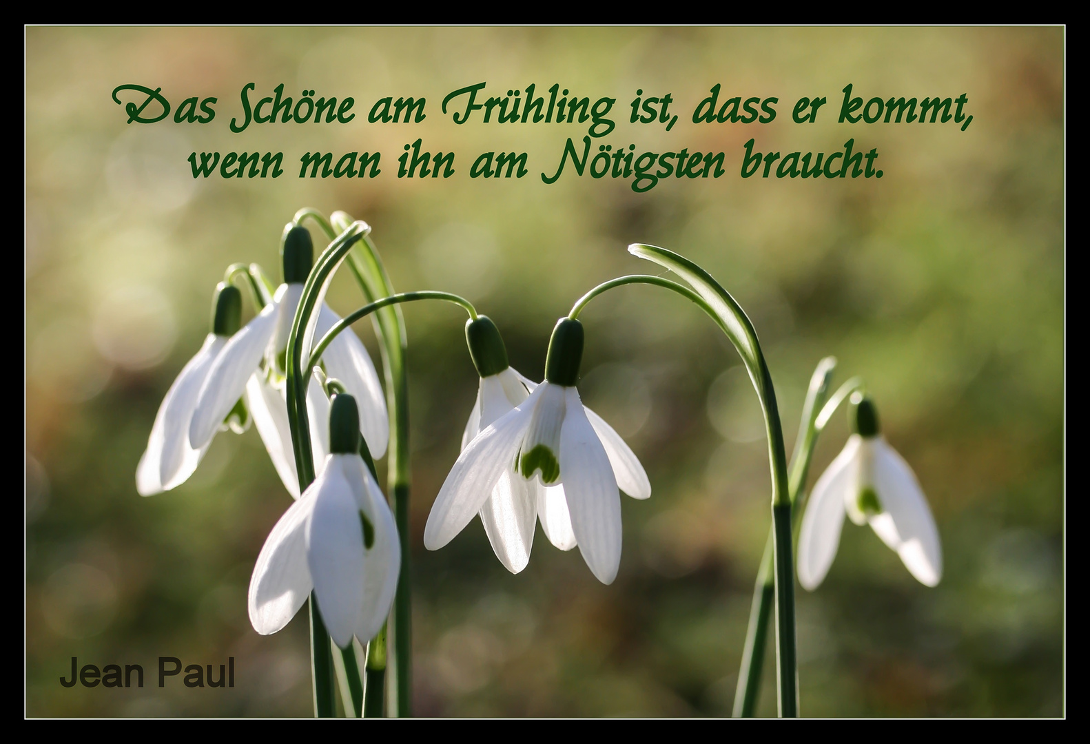 Vorfrühling