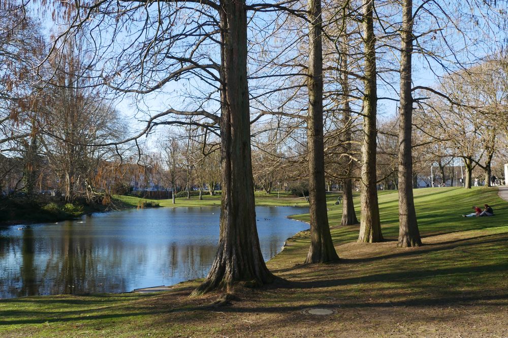 Vorfrühling