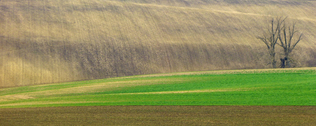 Vorfrühling