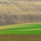 Vorfrühling