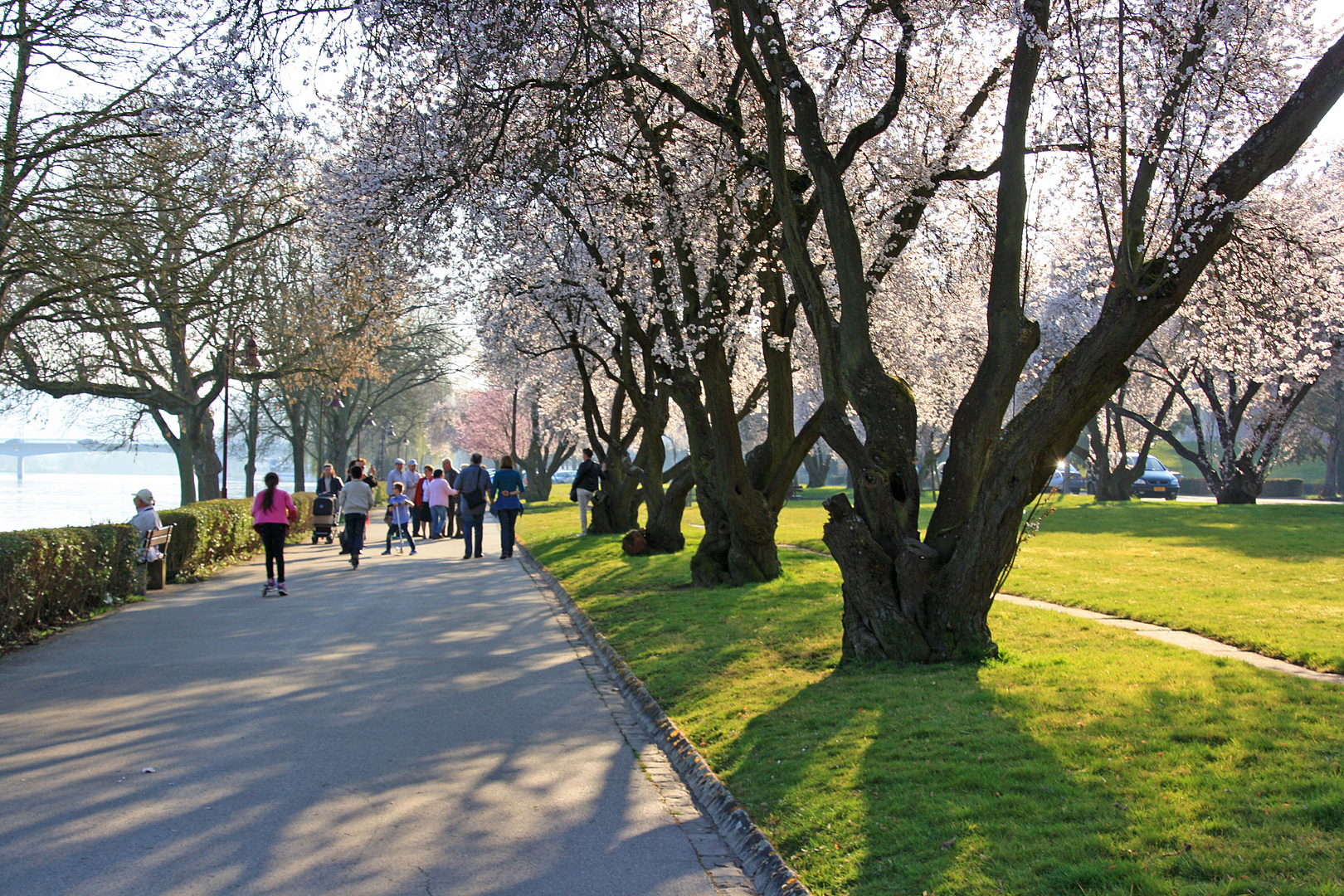 Vorfrühling