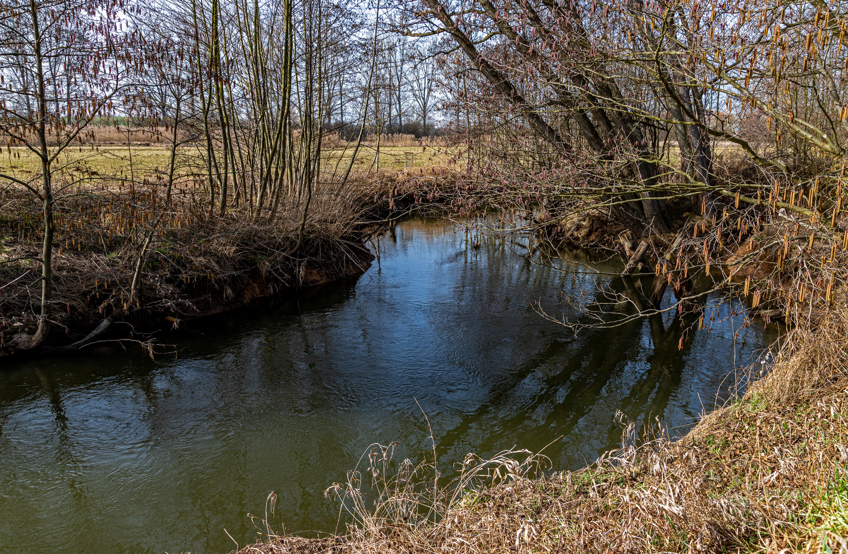 Vorfrühling