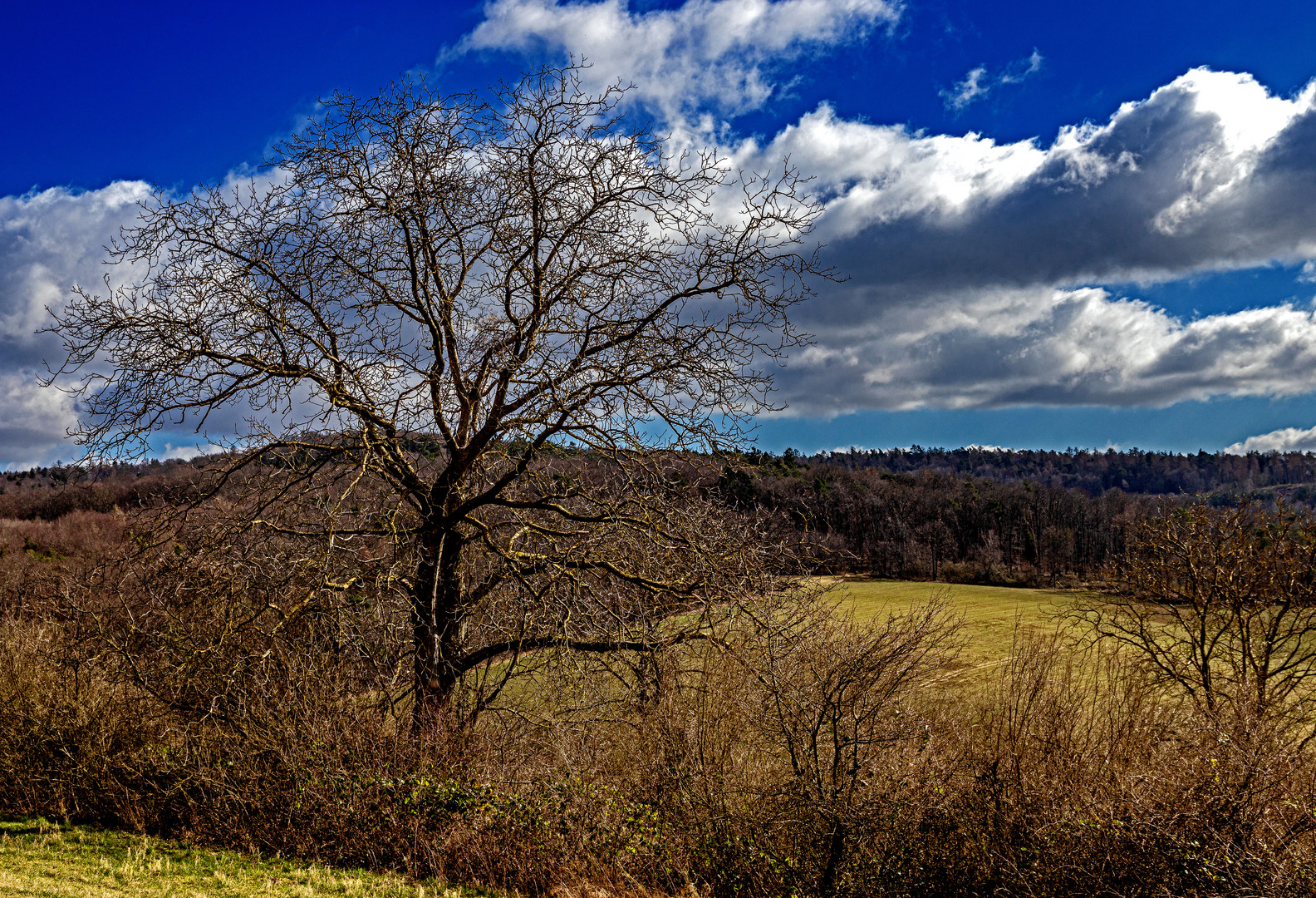 Vorfrühling