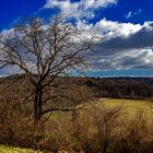 Vorfrühling