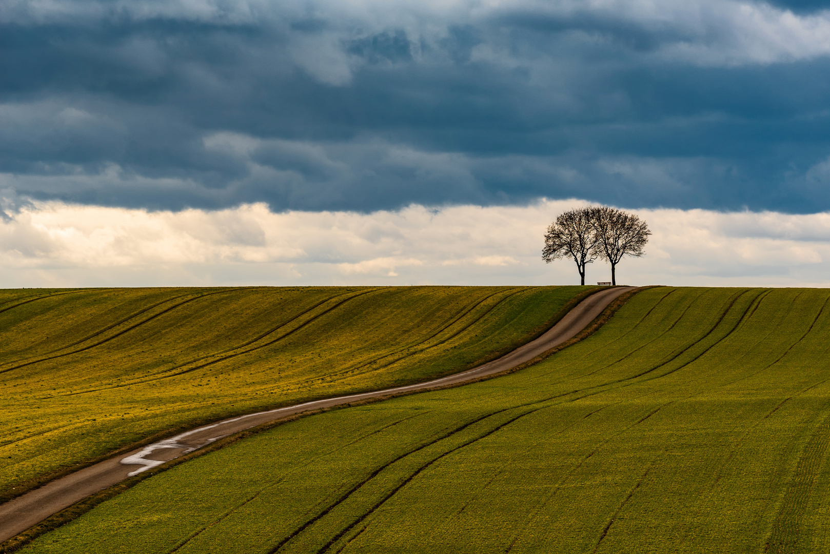 Vorfrühling