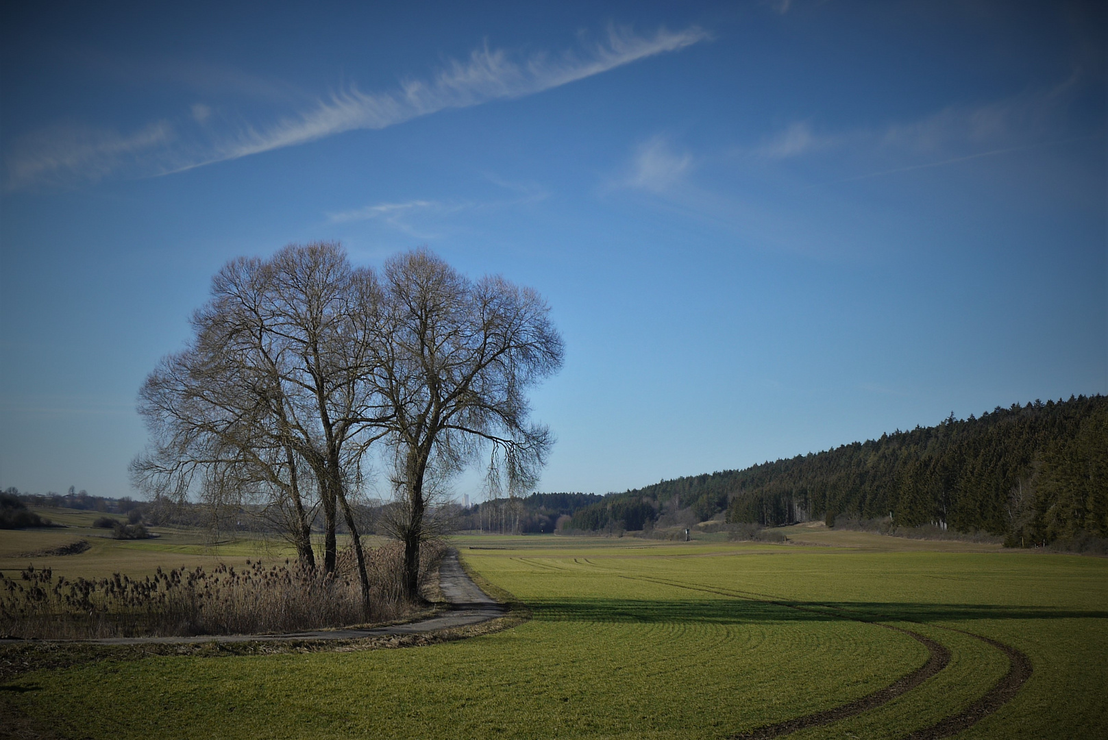 Vorfrühling