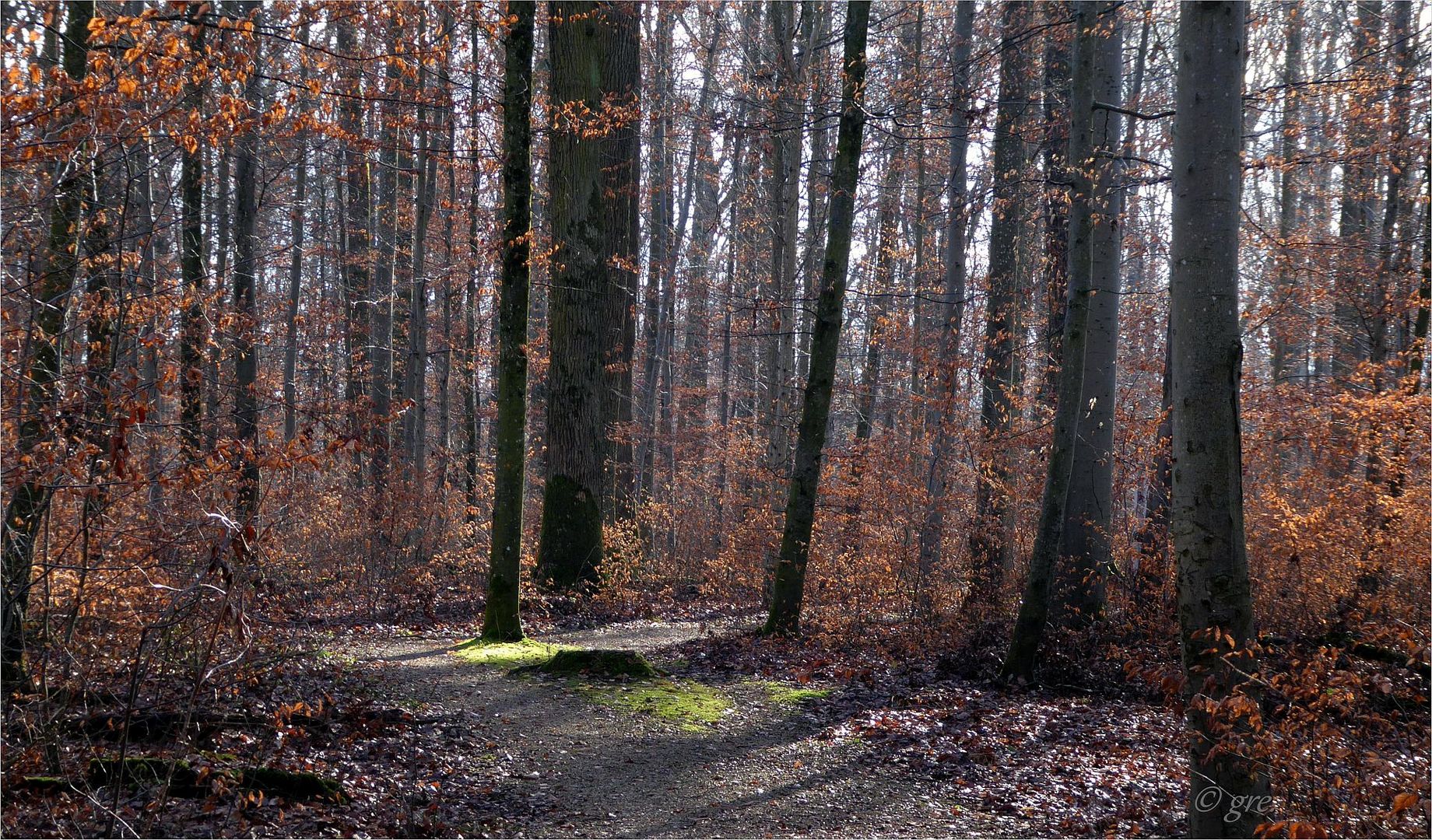 Vorfrühling für einen Tag