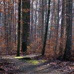 Vorfrühling für einen Tag