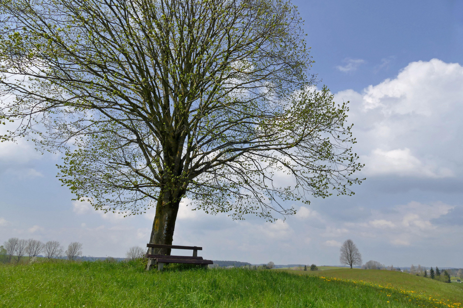 Vorfrühling im Allgaü