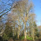 Vorfrühling im Blauen Garten