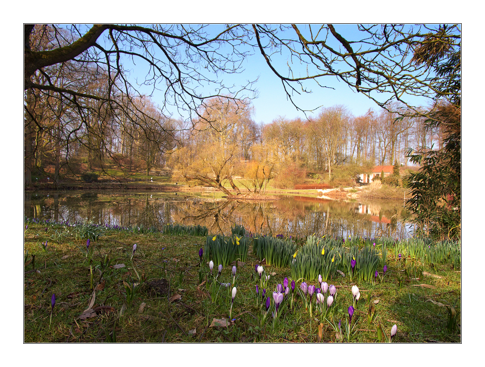 Vorfrühling im Botanischen Garten in Münster