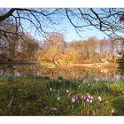 Vorfrühling im Botanischen Garten in Münster