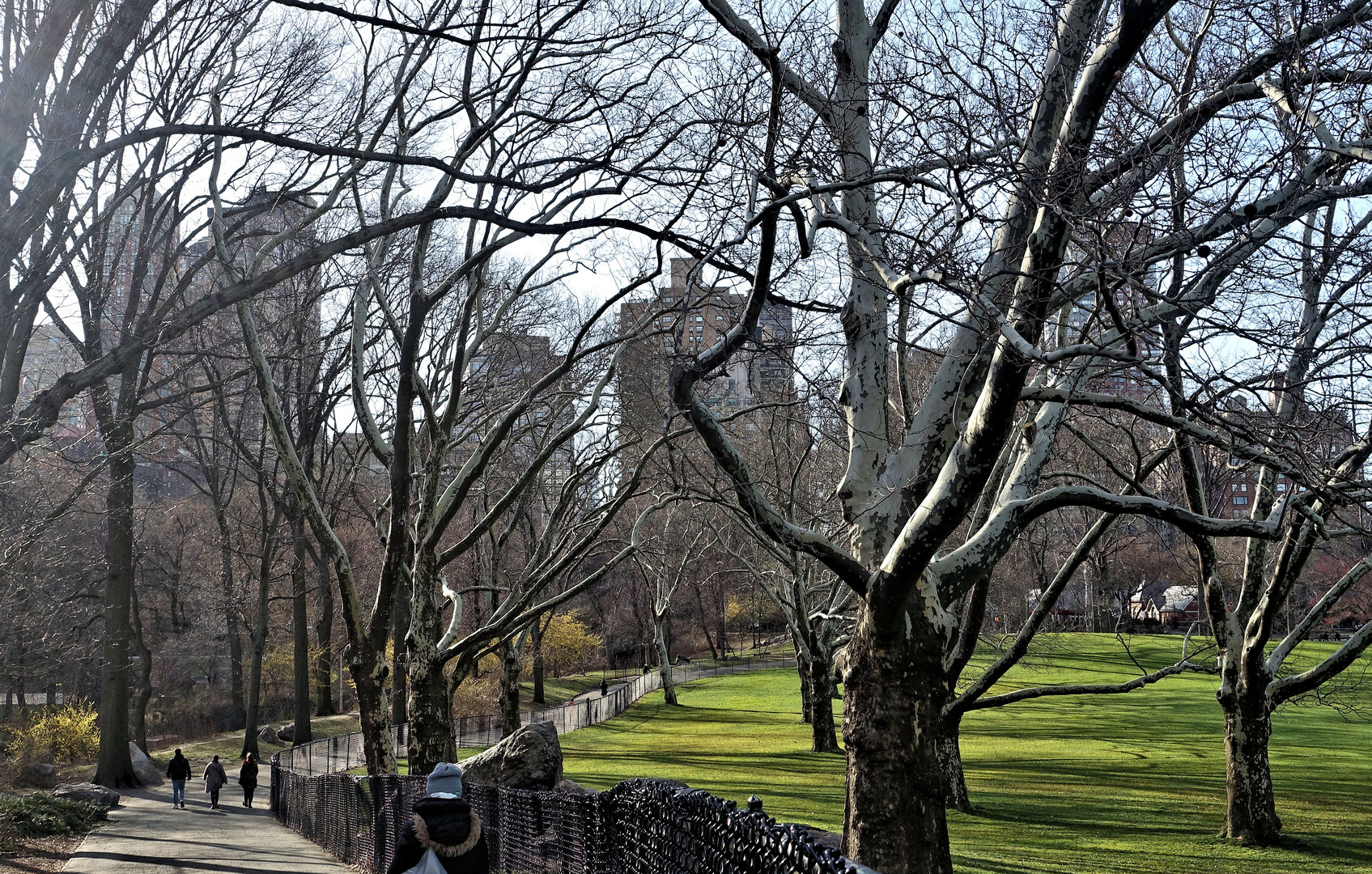 vorfrühling im central park  1