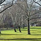 vorfrühling im central park  3