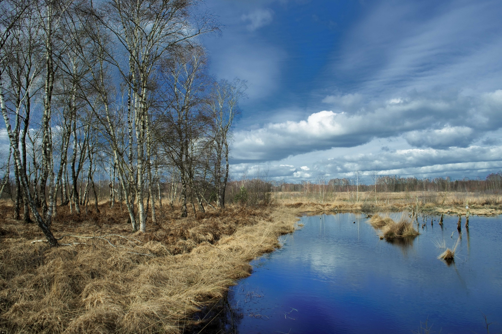 Vorfrühling im Diepholzer Moor :C)