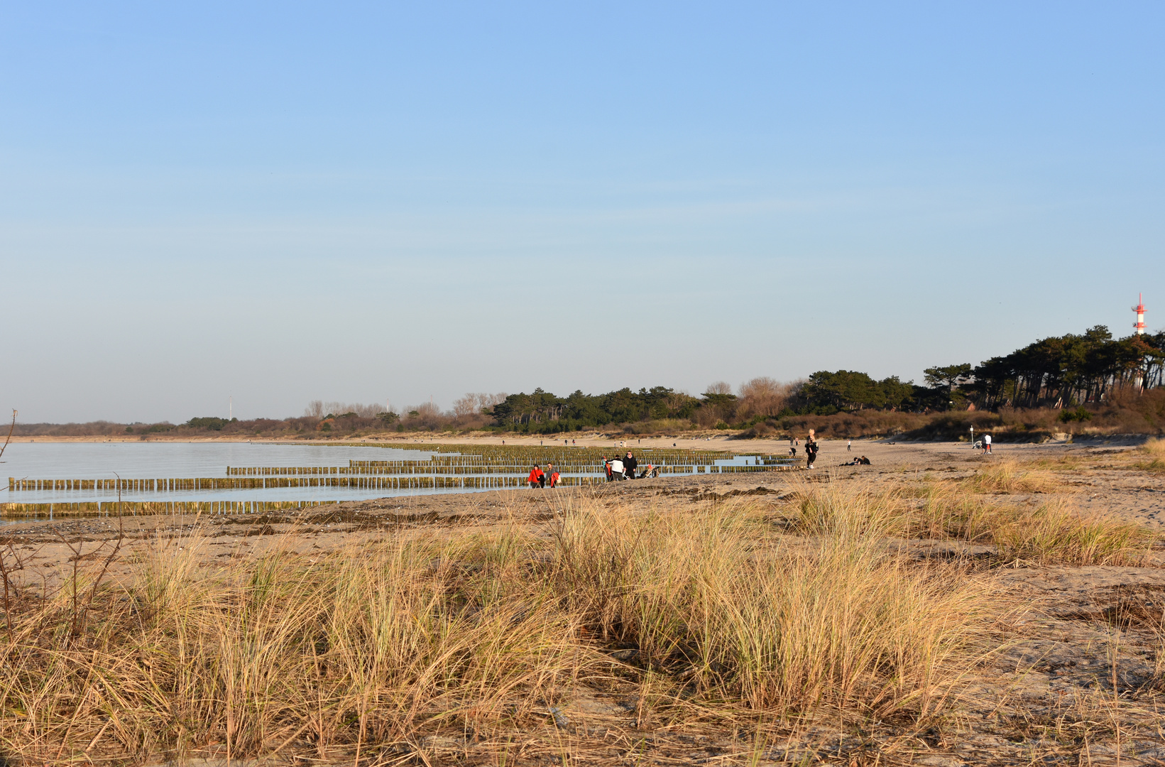 Vorfrühling im Februar 2021 am Strand von Hohe Düne