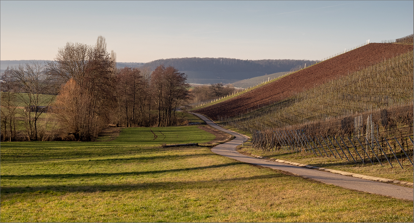 Vorfrühling im Februar