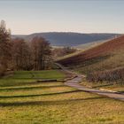 Vorfrühling im Februar