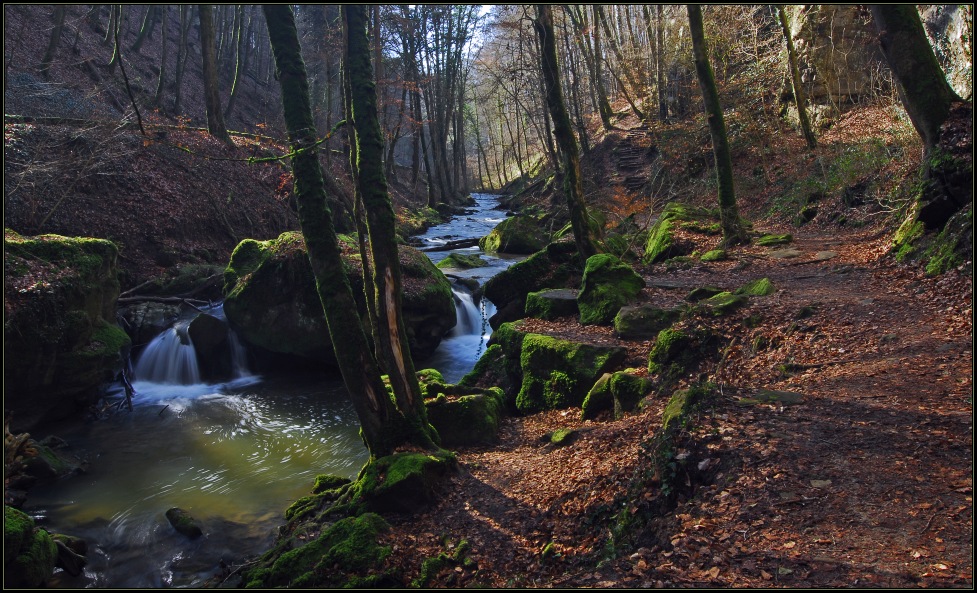 Vorfrühling im Müllerthal